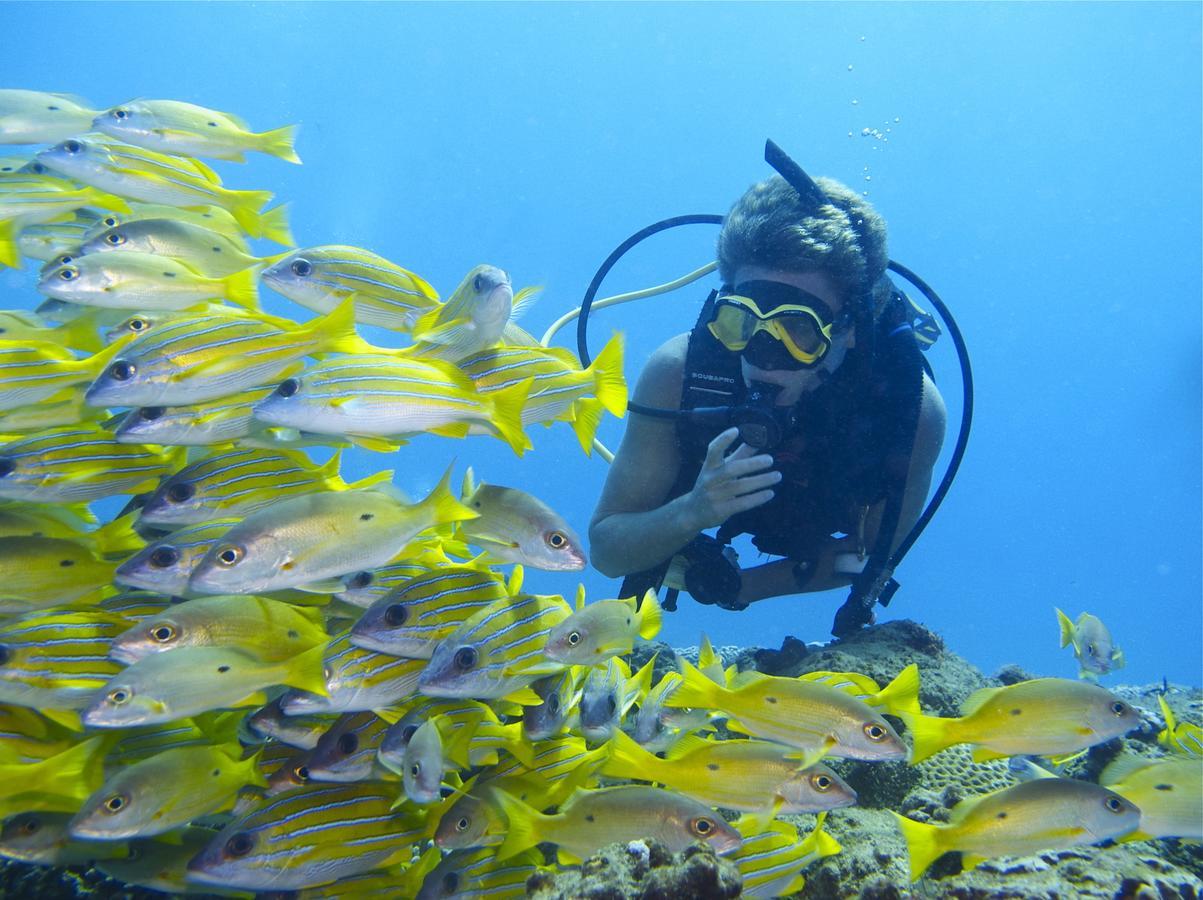 מלון סודוואנה ביי Coral Divers מראה חיצוני תמונה