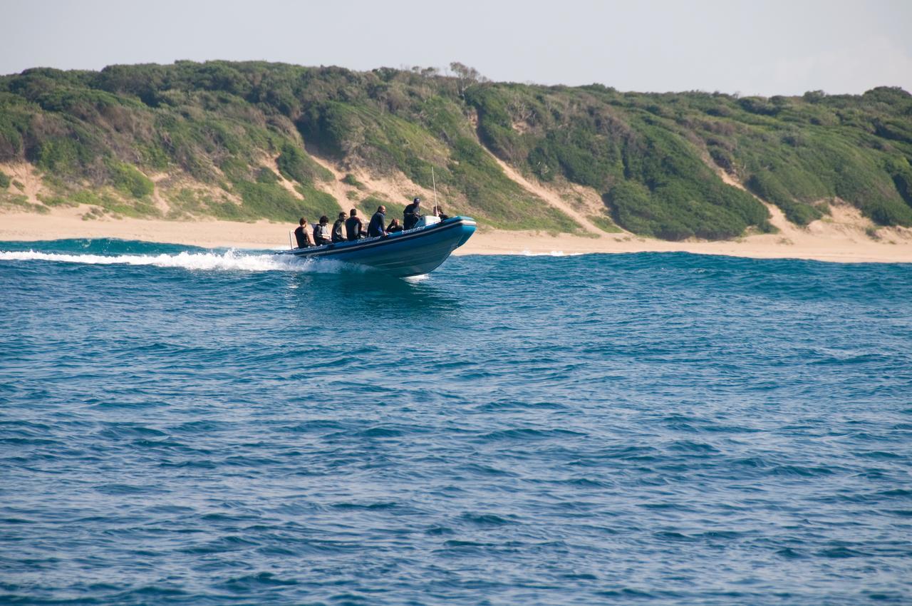 מלון סודוואנה ביי Coral Divers מראה חיצוני תמונה